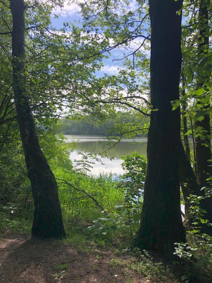 Noclegi Gdansk Pokoje Goscinne Luaran gambar